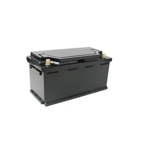 Lithium Iron Phosphate Battery LFP12 100